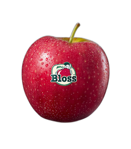 景曦繁花® Bloss®
